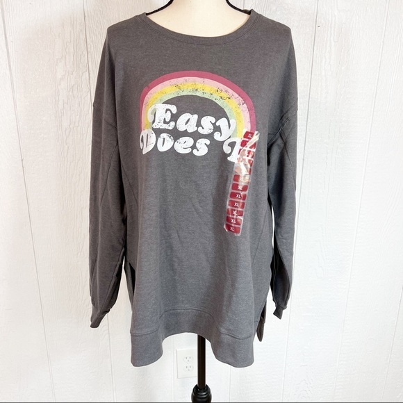 NEW Wildfox Easy Does It Statement Sweatshirt Gray and Rainbow XL - Picture 11 of 11